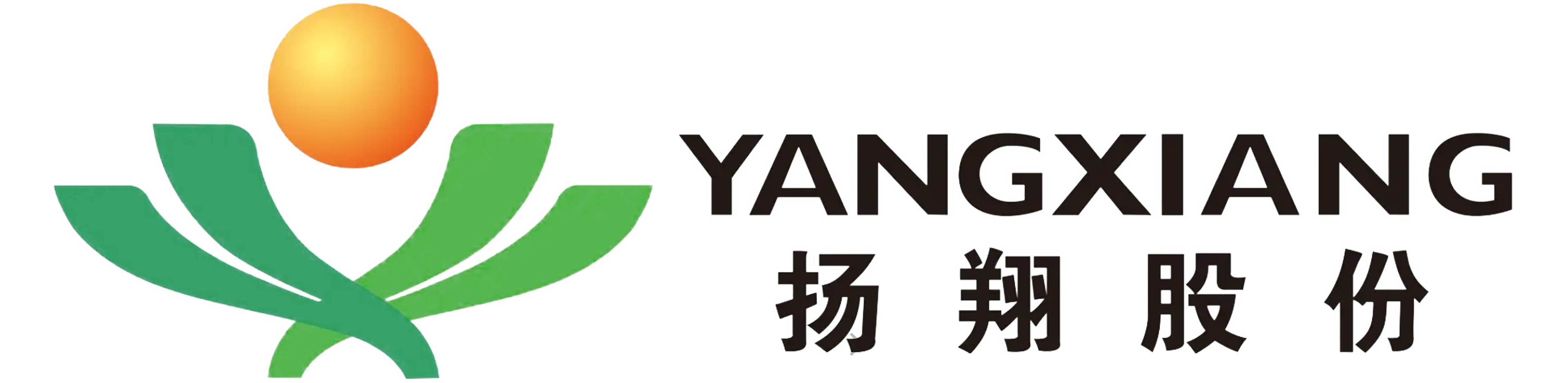 杨翔猪企